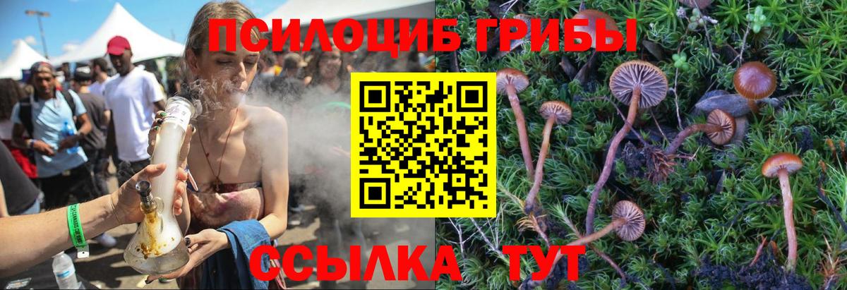 Псилоцибиновые грибы мицелий  Вход с VPN  Галлюциногенные грибы Magic Shrooms  Йошкар-Ола 